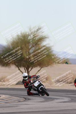 media/Nov-30-2025-TrackXperience (Sun) [[c0061d280f]]/2-Level 2/Session 6 Turn 4 Tree of Life/